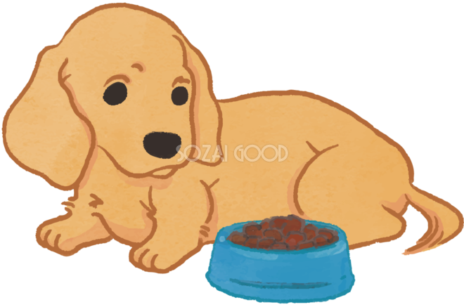 ダックスフンド ご飯を食べる かわいい犬の無料イラスト69999 素材good