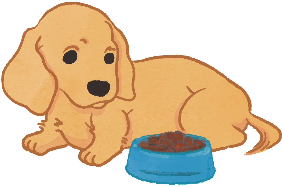 ダックスフンド(ご飯を食べる)かわいい犬の無料イラスト69999に写真・文字を入れる