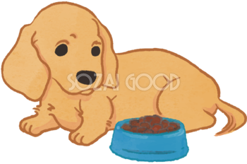 ダックスフンド(ご飯を食べる)かわいい犬の無料イラスト69999