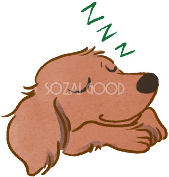 ダックスフンド(寝顔)かわいい犬の無料イラスト70003