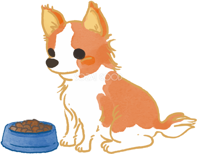 チワワ ご飯を食べる かわいい犬の無料イラスト70007 素材good