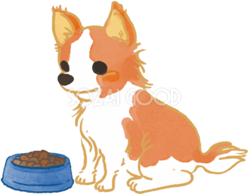 チワワ(ご飯を食べる)かわいい犬の無料イラスト70007