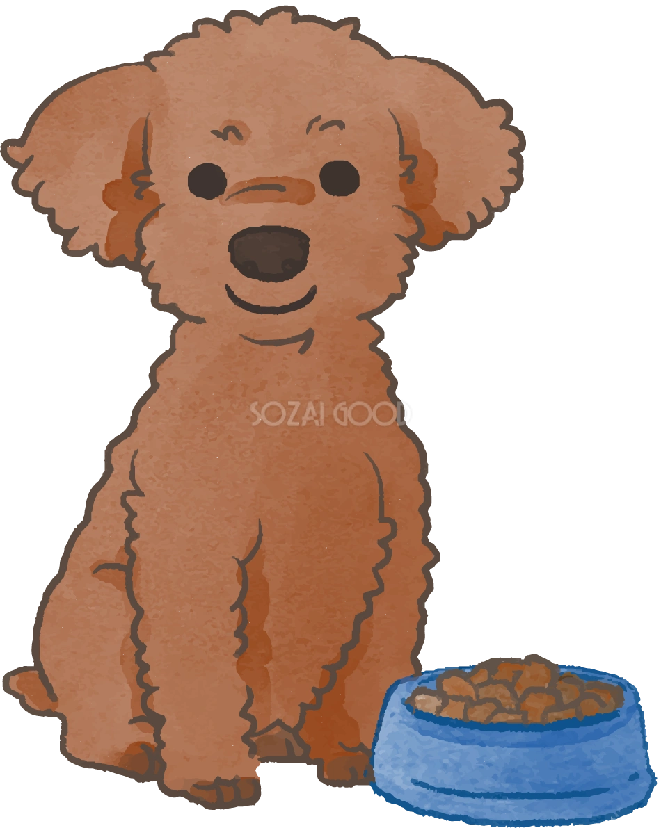 トイプードル(ご飯を食べる)かわいい犬の無料イラスト70015