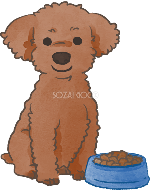 トイプードル ご飯を食べる かわいい犬の無料イラスト70015 素材good