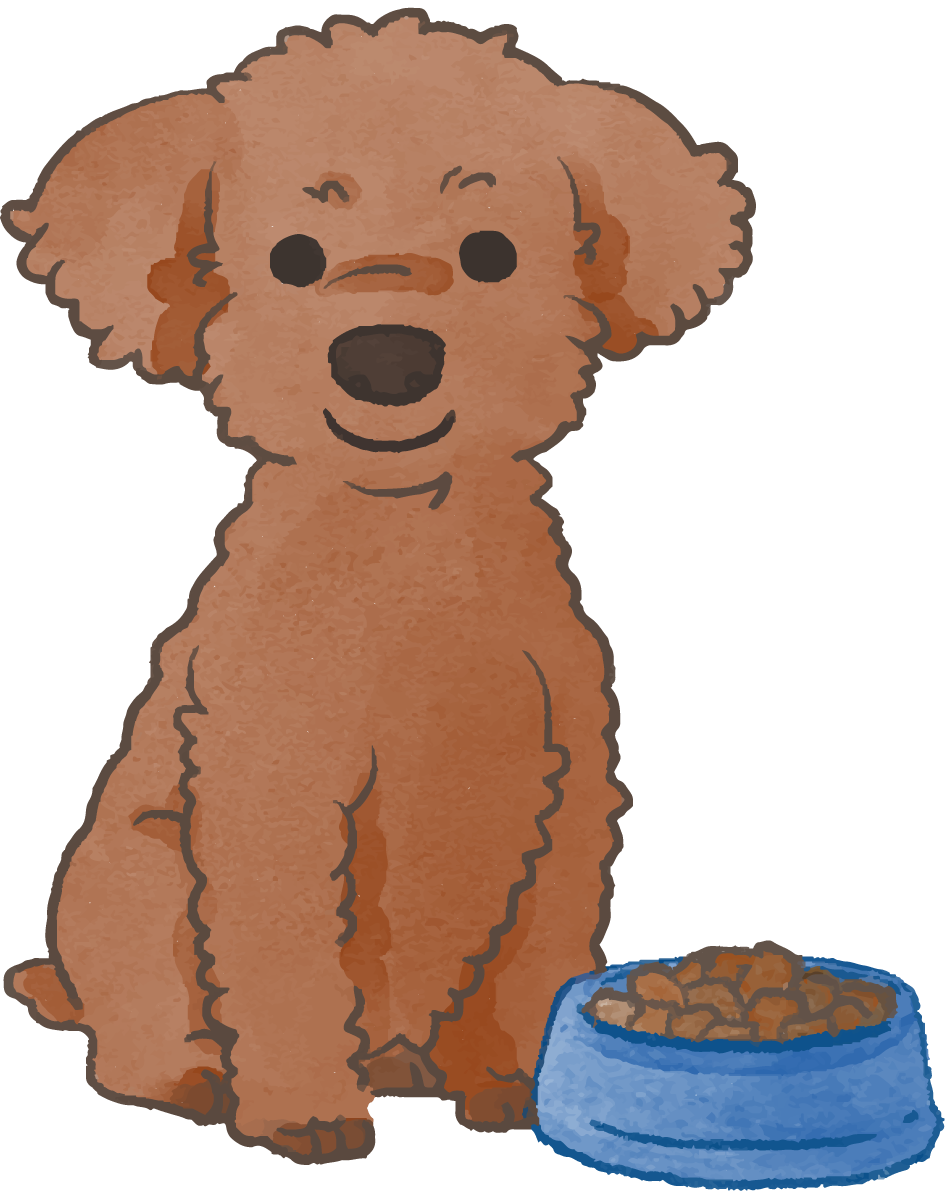 トイプードル(ご飯を食べる)かわいい犬の無料イラスト70015に写真・文字を入れる