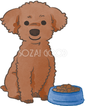 トイプードル(ご飯を食べる)かわいい犬の無料イラスト70015