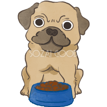パグ(ご飯を食べる)かわいい犬の無料イラスト70019