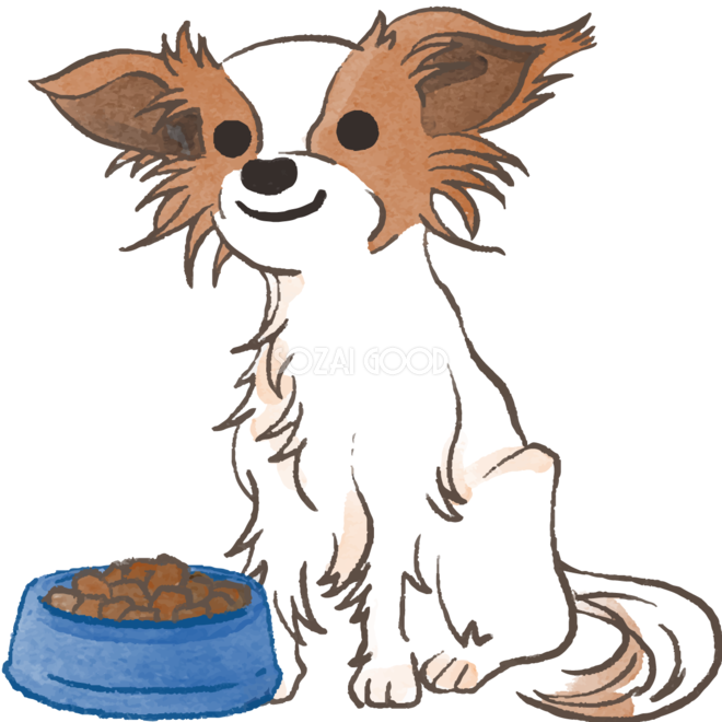 パピヨン ご飯を食べる かわいい犬の無料イラスト 素材good