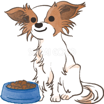 パピヨン(ご飯を食べる)かわいい犬の無料イラスト70023