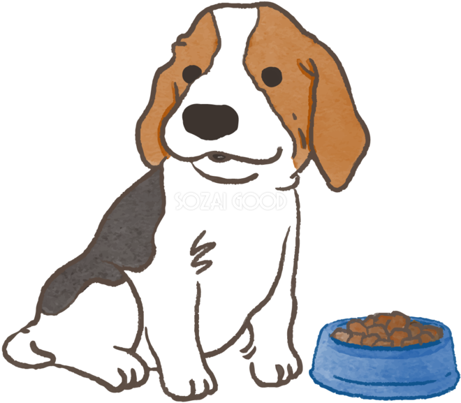 ビーグル ご飯を食べる かわいい犬の無料イラスト 素材good
