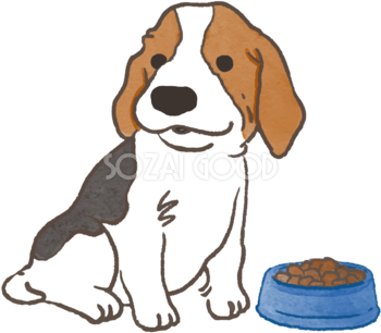 ビーグル(ご飯を食べる)かわいい犬の無料イラスト70027
