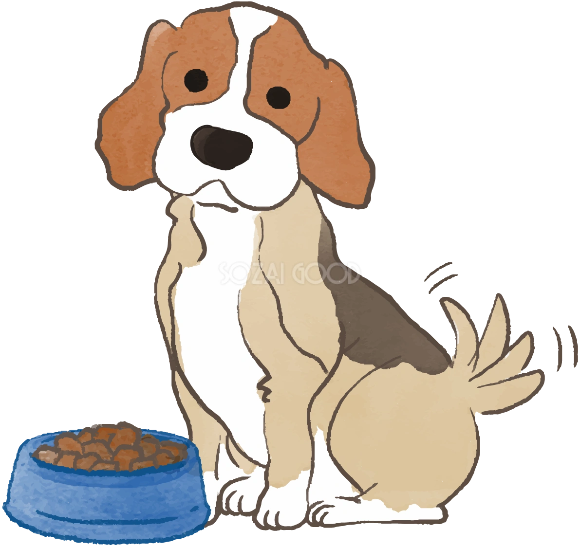 ビーグル(ご飯を食べ尻尾を振る)かわいい犬の無料イラスト70031
