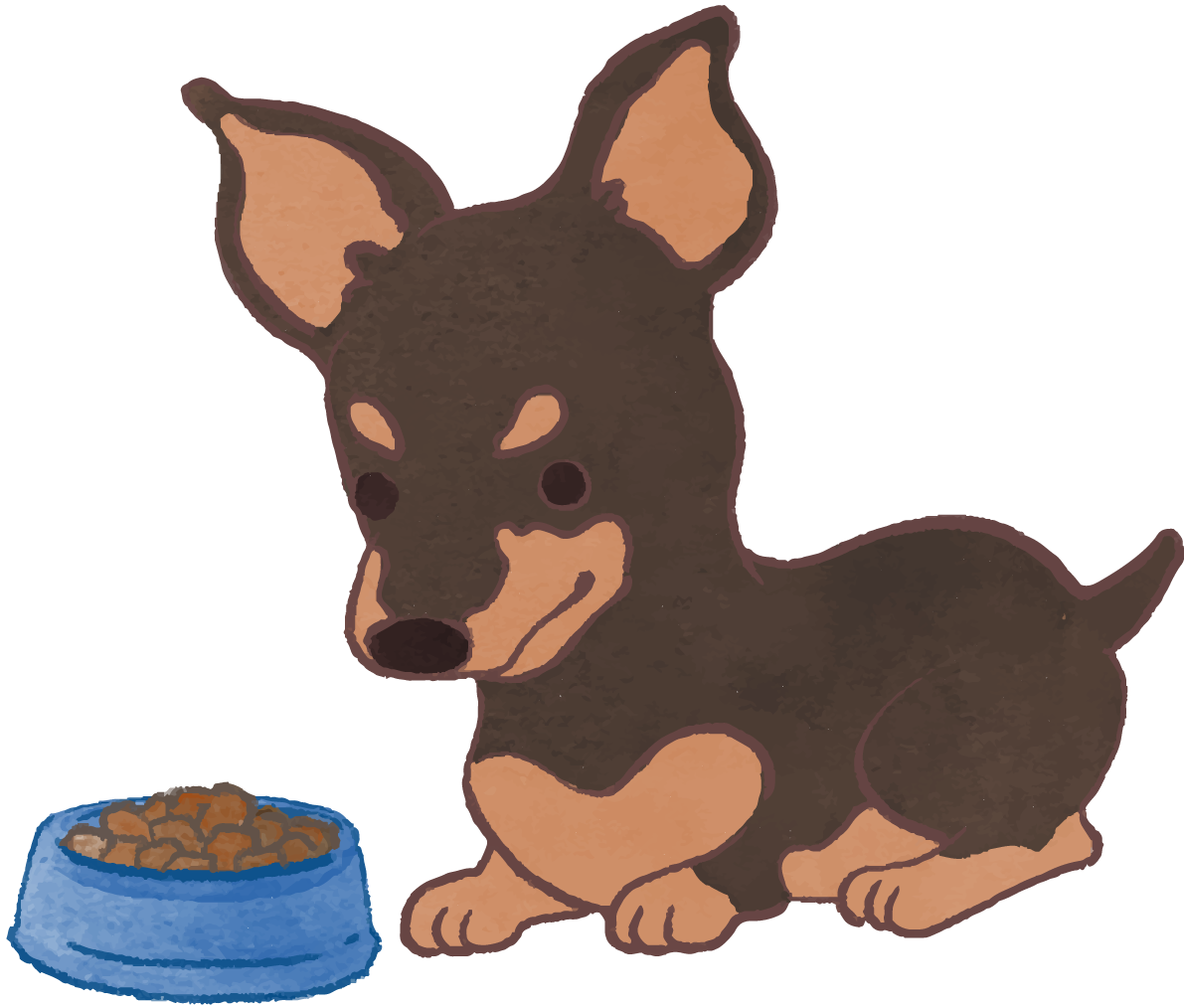 ピンシャー子犬(ご飯を食べる)かわいい犬の無料イラスト70035に写真・文字を入れる