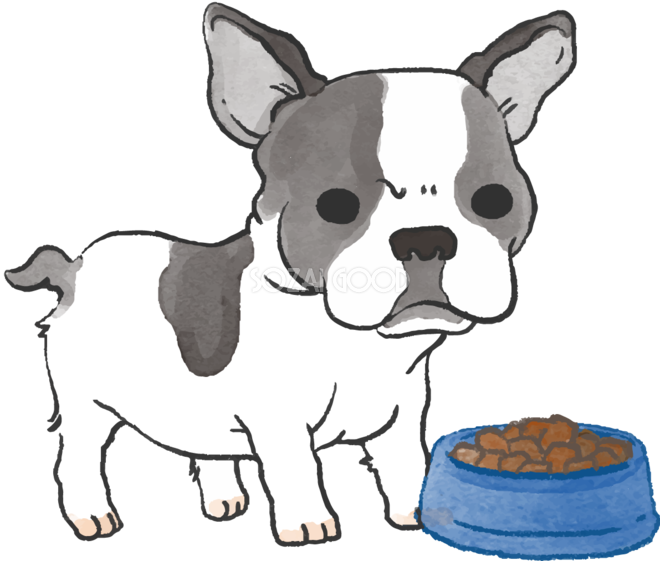 フレンチブルドック ご飯を食べる かわいい犬の無料イラスト 素材good
