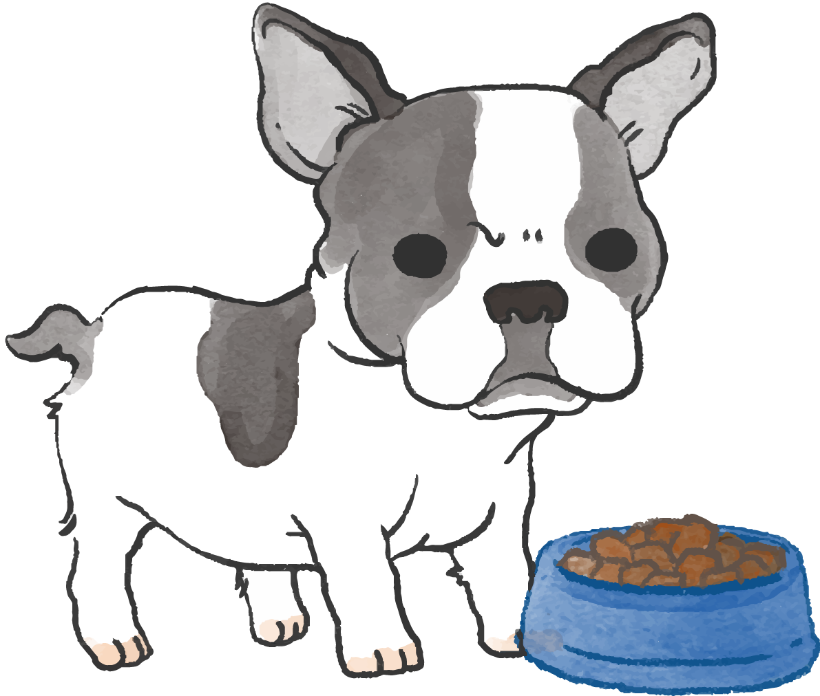 フレンチブルドック(ご飯を食べる)かわいい犬の無料イラスト70039に写真・文字を入れる