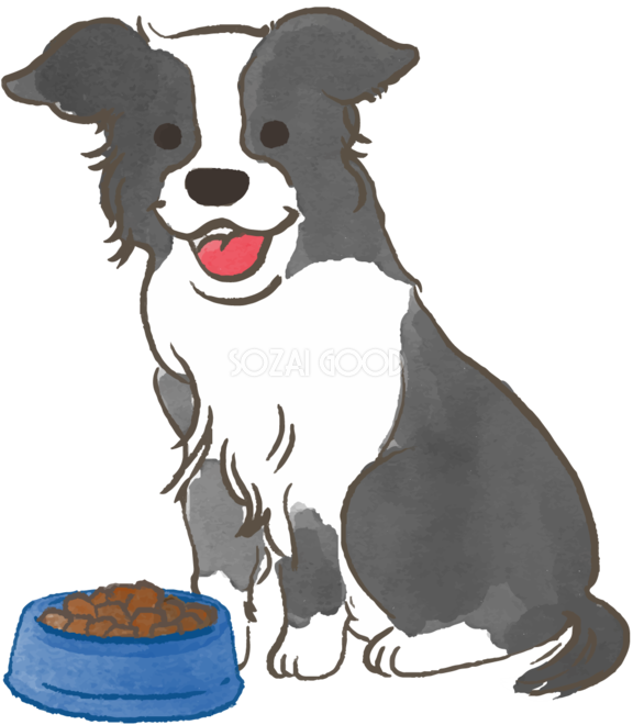 ボーダーコリー ご飯を食べる かわいい犬の無料イラスト70043 素材good