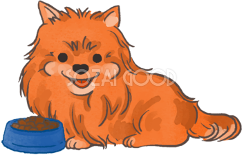 ポメラニアン(ご飯を食べる)かわいい犬の無料イラスト70047