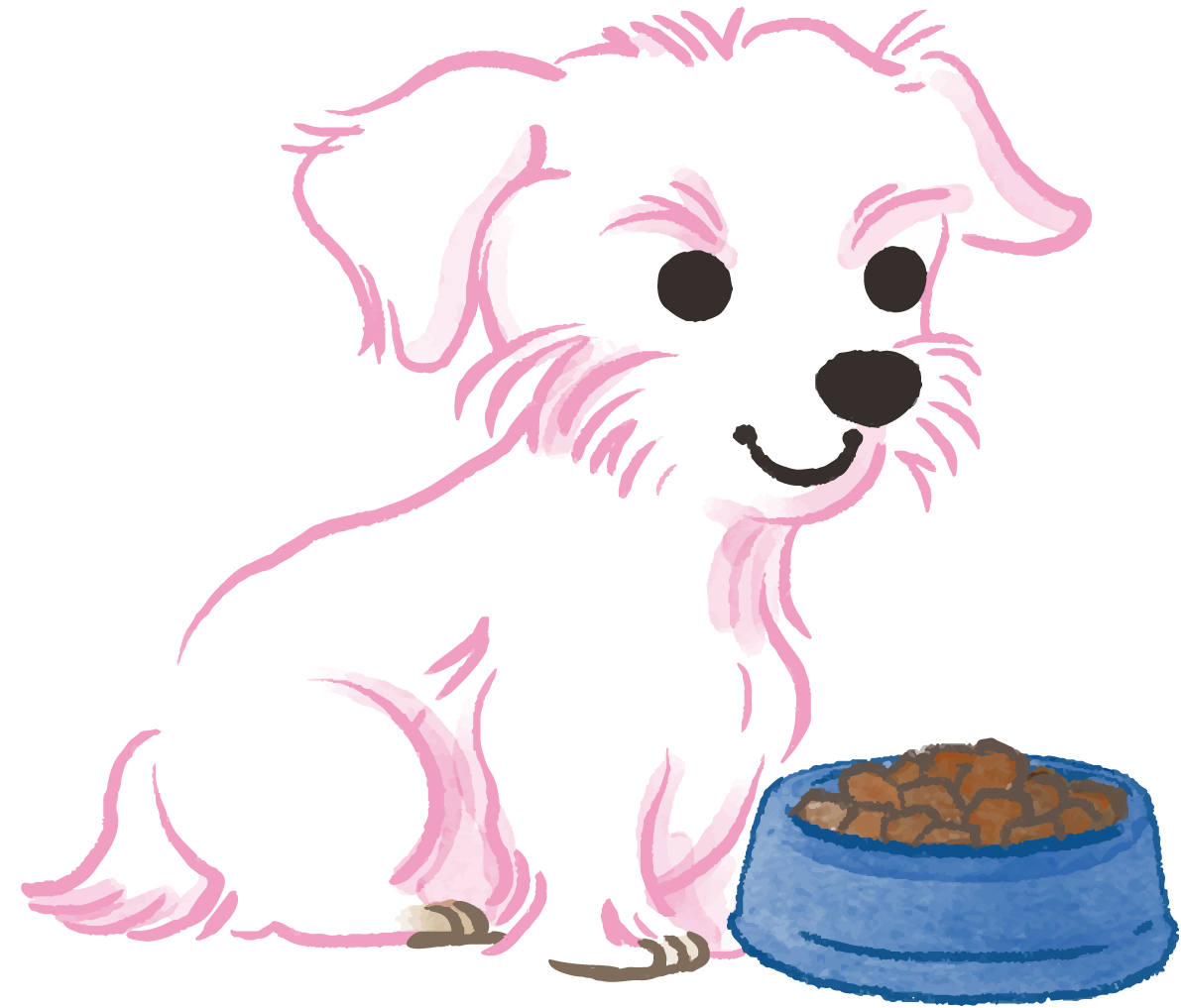 マルチーズ(ご飯を食べる)かわいい犬の無料イラスト70055に写真・文字を入れる
