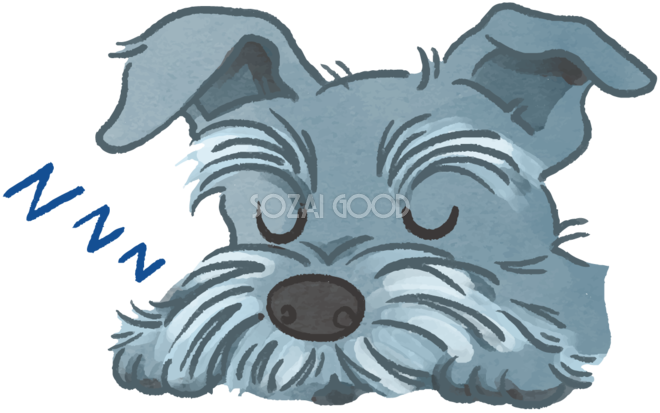 ミニチュアシュナウザー 寝顔 かわいい犬の無料イラスト 素材good
