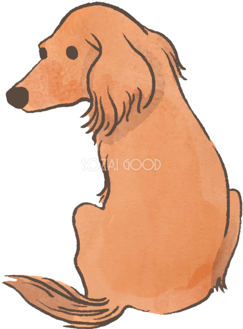 ダックスフンド 犬 イラスト 無料フリー 素材good