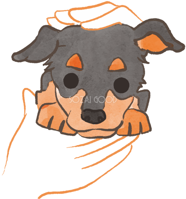 ミニチュアピンシャー 抱っこされた かわいい犬の無料イラスト70096 素材good