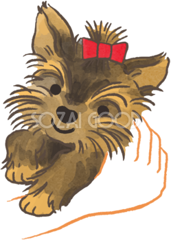 ヨークシャテリア (抱っこされる)かわいい犬の無料イラスト70100