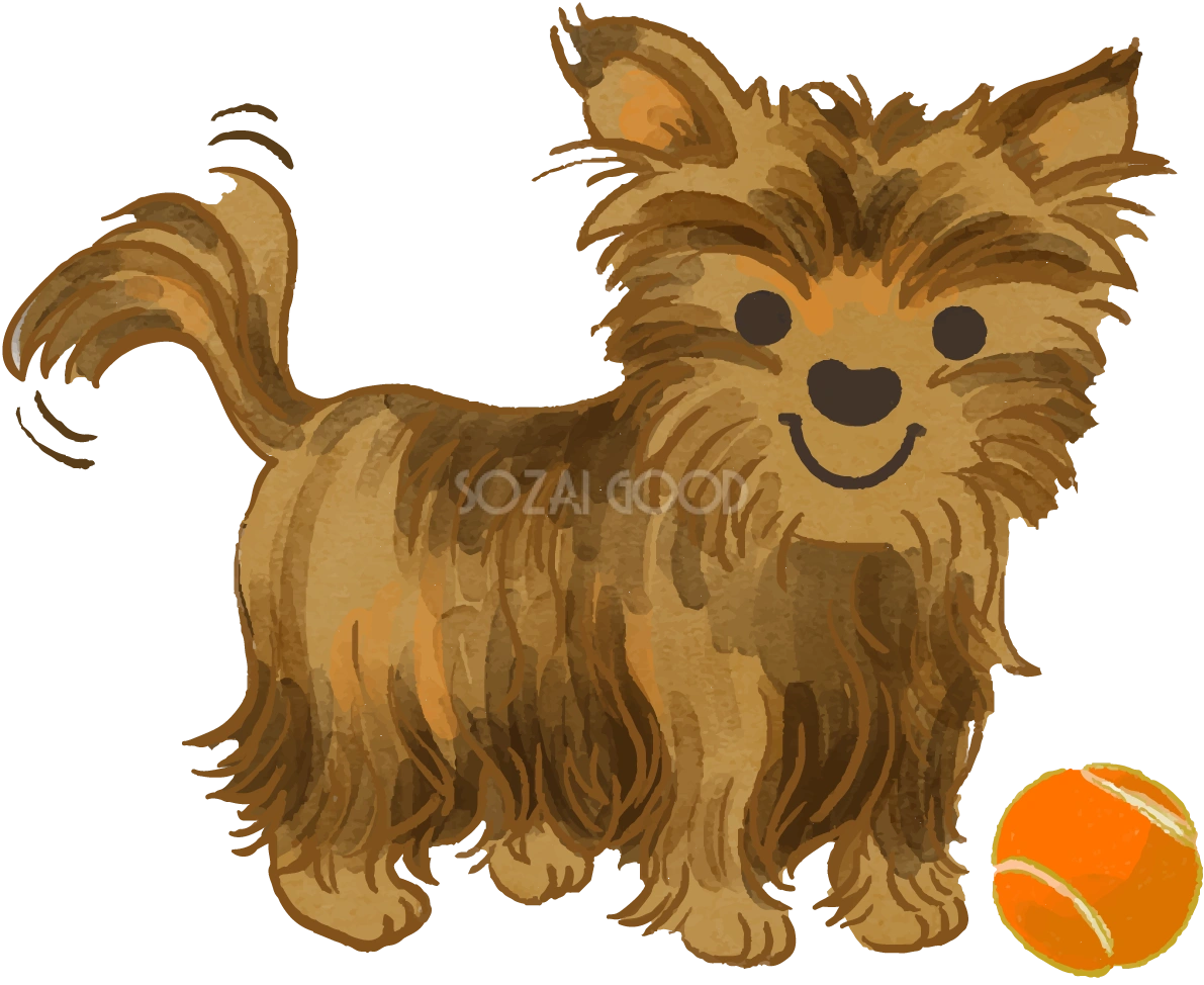 ヨークシャテリア(ボールで遊ぶ)かわいい犬の無料イラスト70108