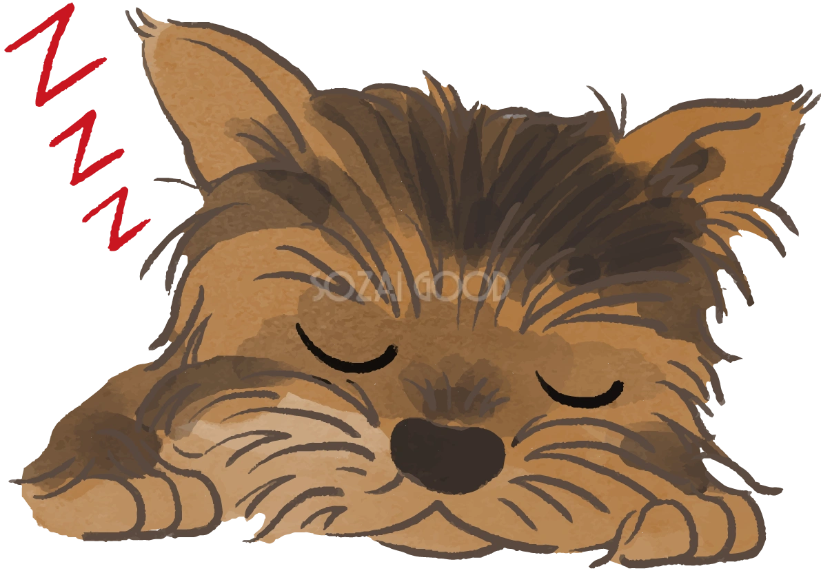 ヨークシャテリア(寝顔)かわいい犬の無料イラスト70112