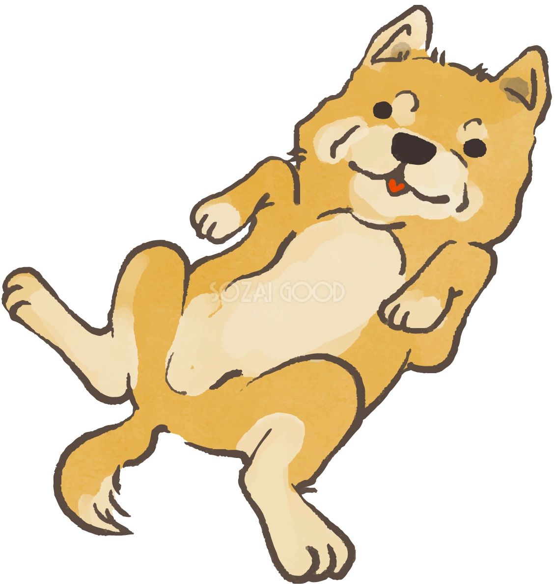 柴犬(お腹を見せる)かわいい犬の無料イラスト70128