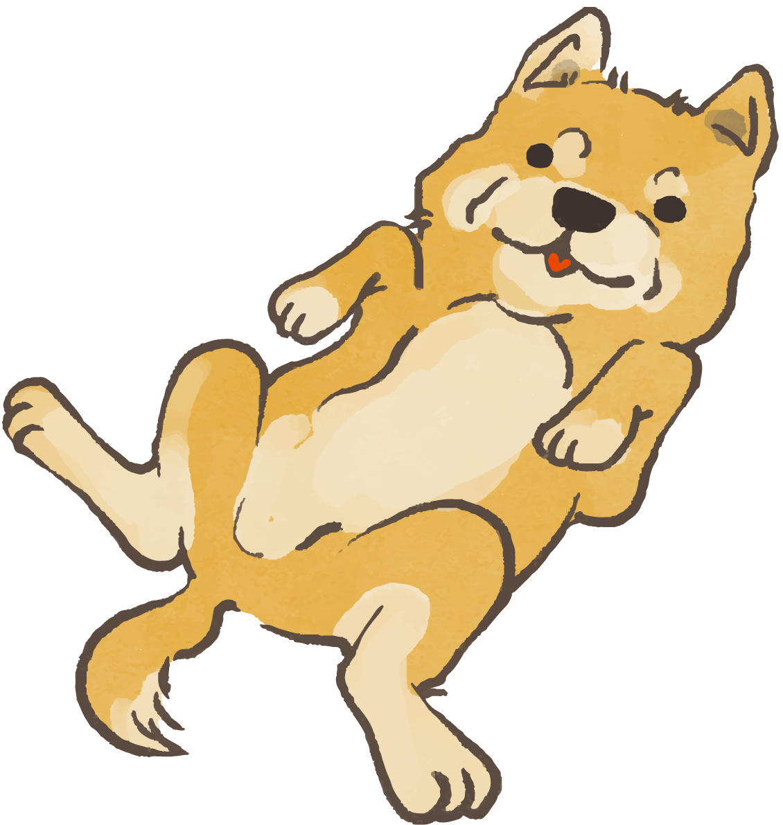 柴犬(お腹を見せる)かわいい犬の無料イラスト70128に写真・文字を入れる