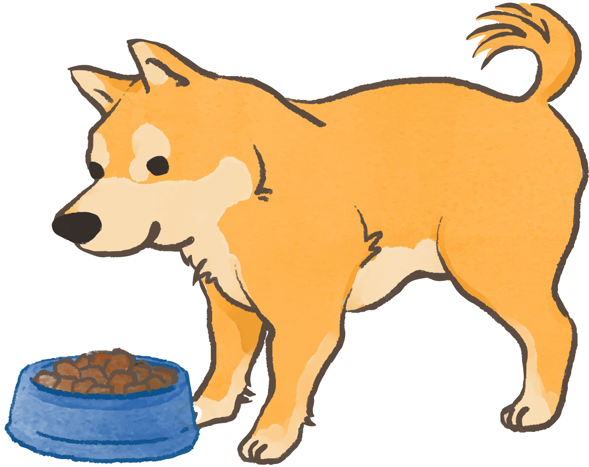 柴犬(ご飯食べる)かわいい犬の無料イラスト70132に写真・文字を入れる