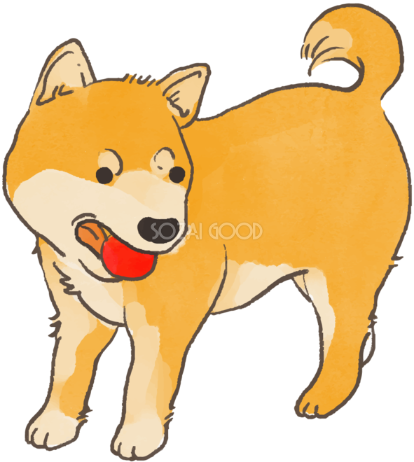 柴犬 ボールで遊ぶ かわいい犬の無料イラスト 素材good