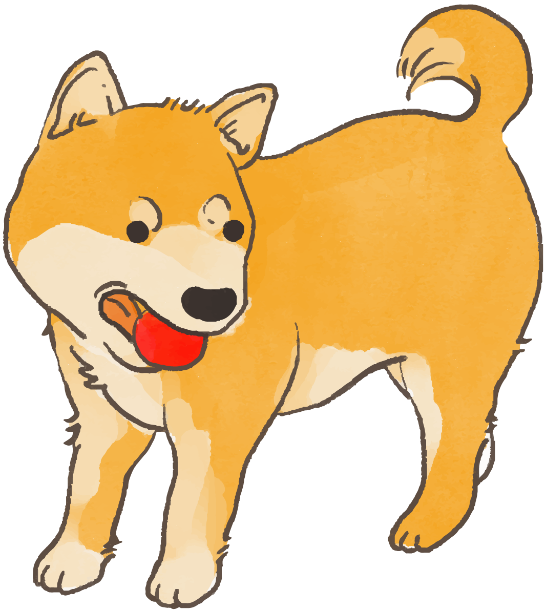 柴犬(ボールで遊ぶ)かわいい犬の無料イラスト70136に写真・文字を入れる