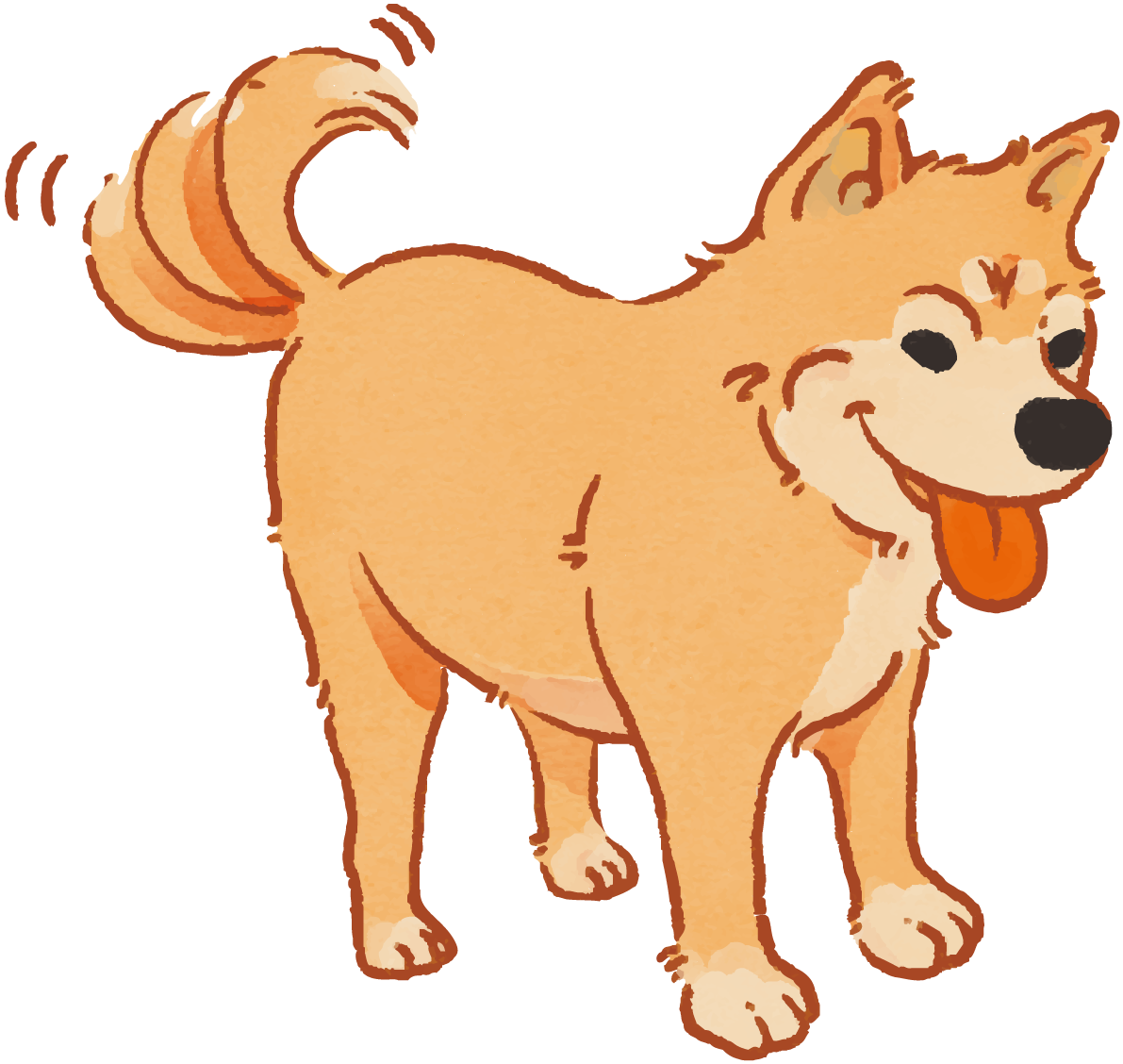 柴犬(尻尾を振る)かわいい犬の無料イラスト70140に写真・文字を入れる