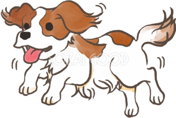 キャバリア(走る)かわいい犬の無料イラスト70252