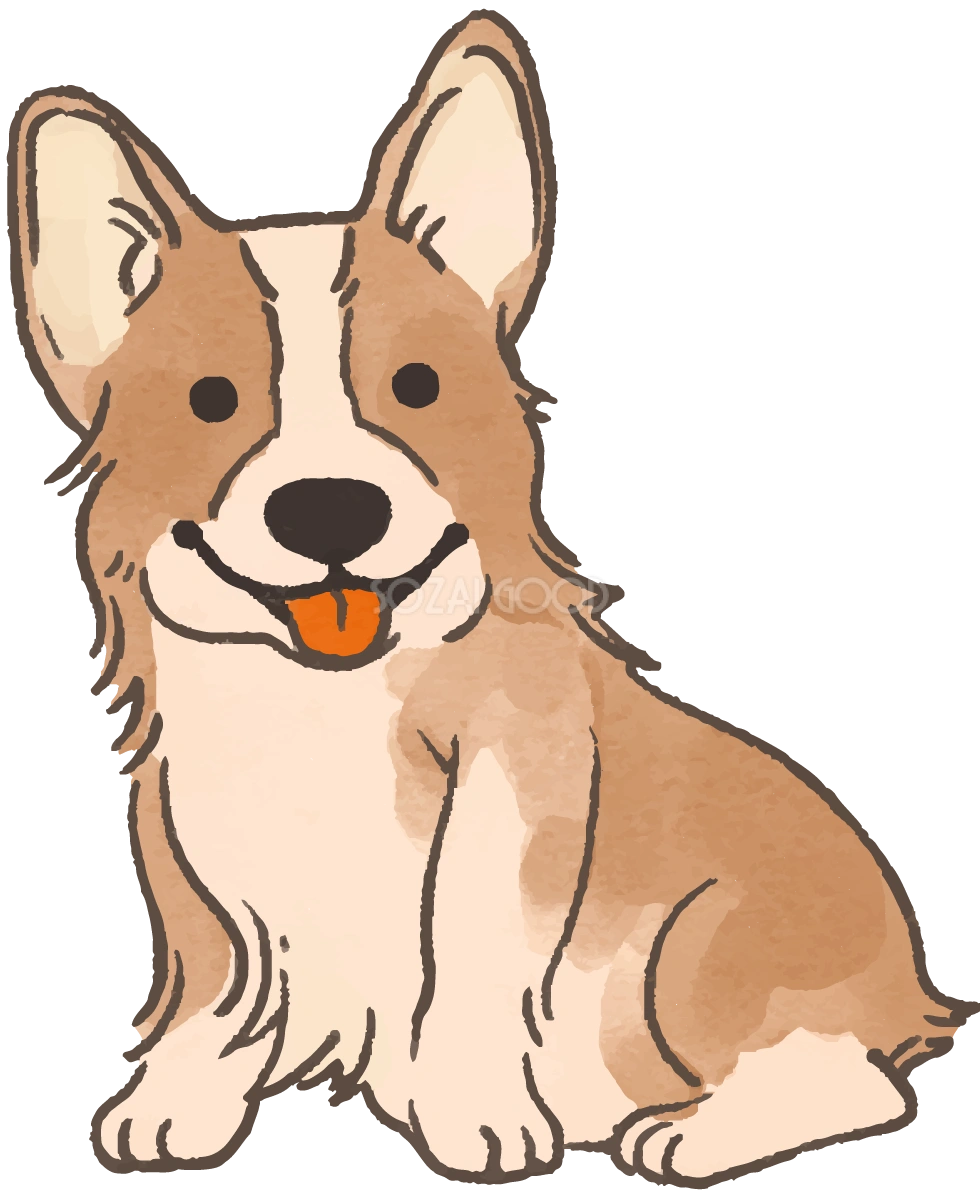 コーギー(舌を出した)かわいい犬の無料イラスト70261