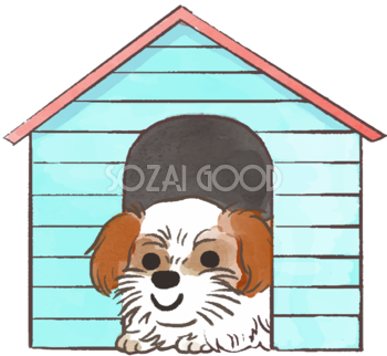 シーズー(犬小屋)かわいい犬の無料イラスト70273