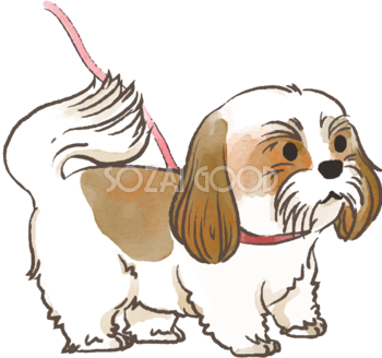 シーズー(散歩に行く)かわいい犬の無料イラスト70277