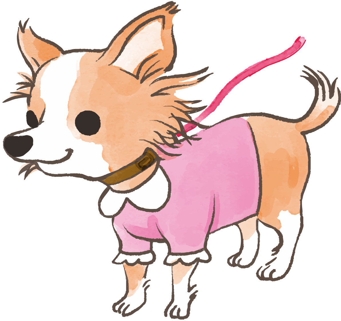 チワワ(散歩に行く)かわいい犬の無料イラスト70289に写真・文字を入れる