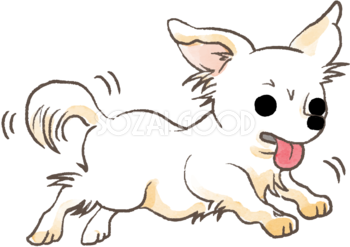 チワワ(走る)かわいい犬の無料イラスト70293
