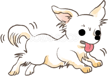 チワワ 走る かわいい犬の無料イラスト 素材good