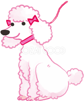 トイプードル(散歩に行く)かわいい犬の無料イラスト70297