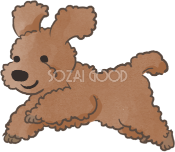 トイプードル(走る)かわいい犬の無料イラスト70301