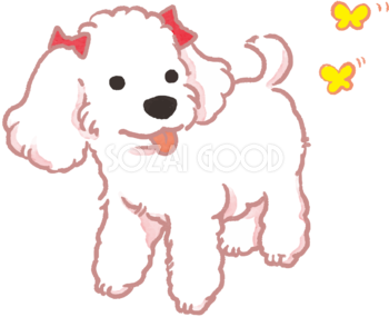 トイプードル(蝶々)かわいい犬の無料イラスト70305