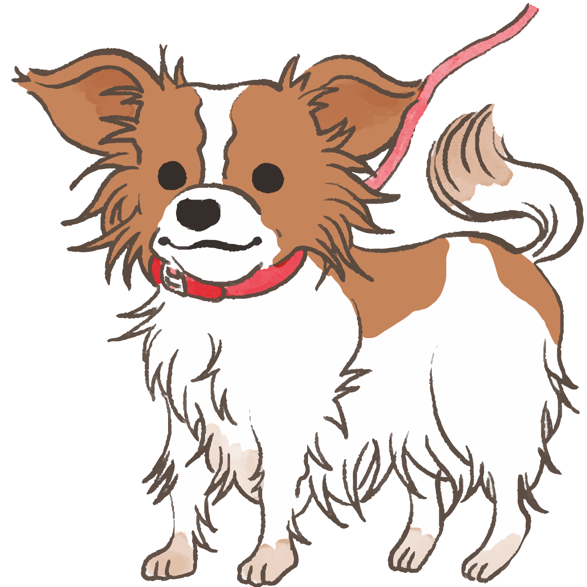 パピヨン(散歩する)かわいい犬の無料イラスト70313に写真・文字を入れる