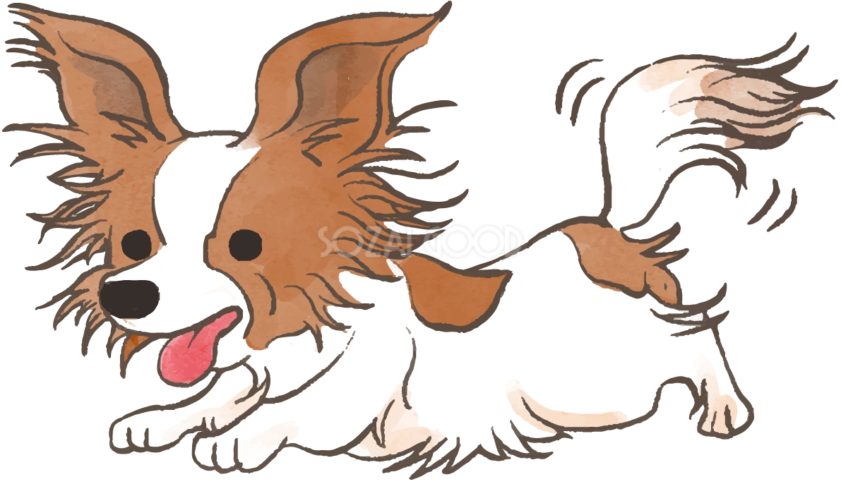 パピヨン(走る)かわいい犬の無料イラスト70317