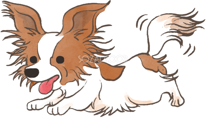 パピヨン 走る かわいい犬の無料イラスト 素材good