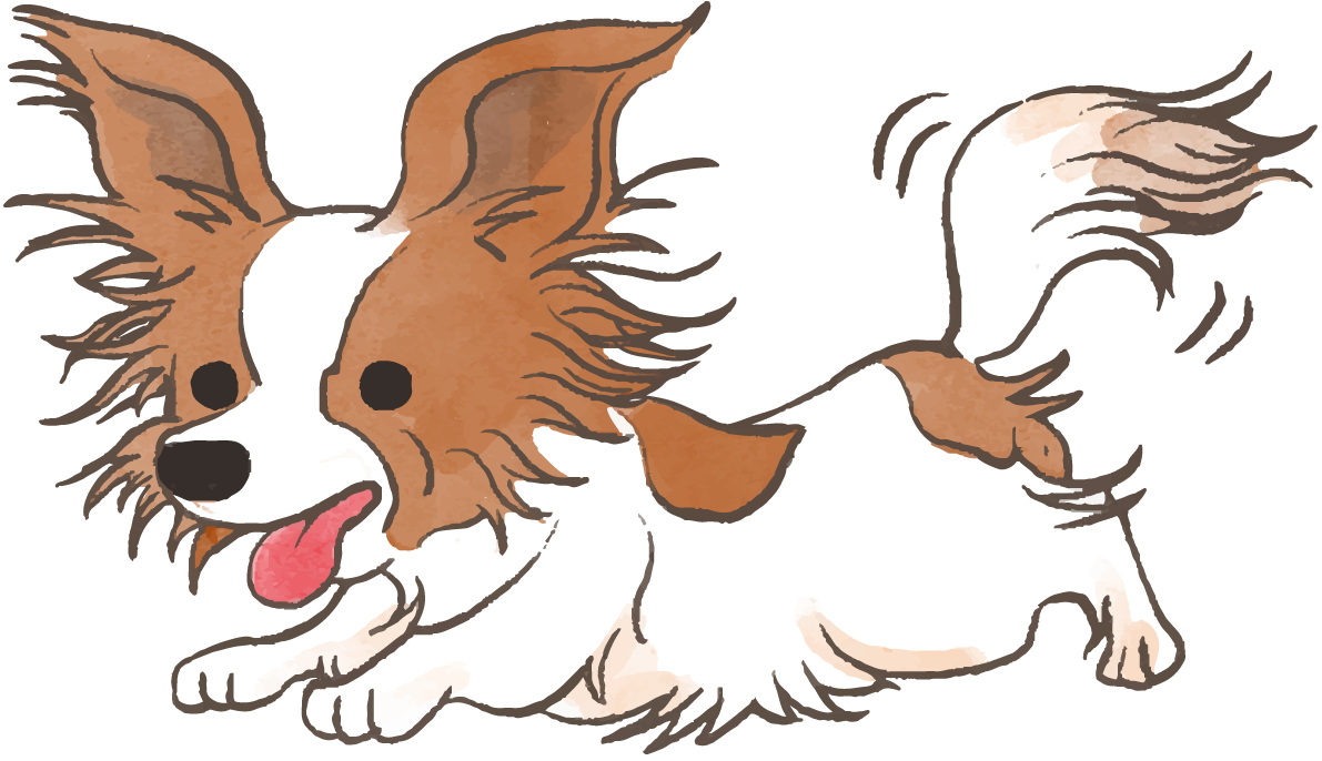 パピヨン(走る)かわいい犬の無料イラスト70317に写真・文字を入れる