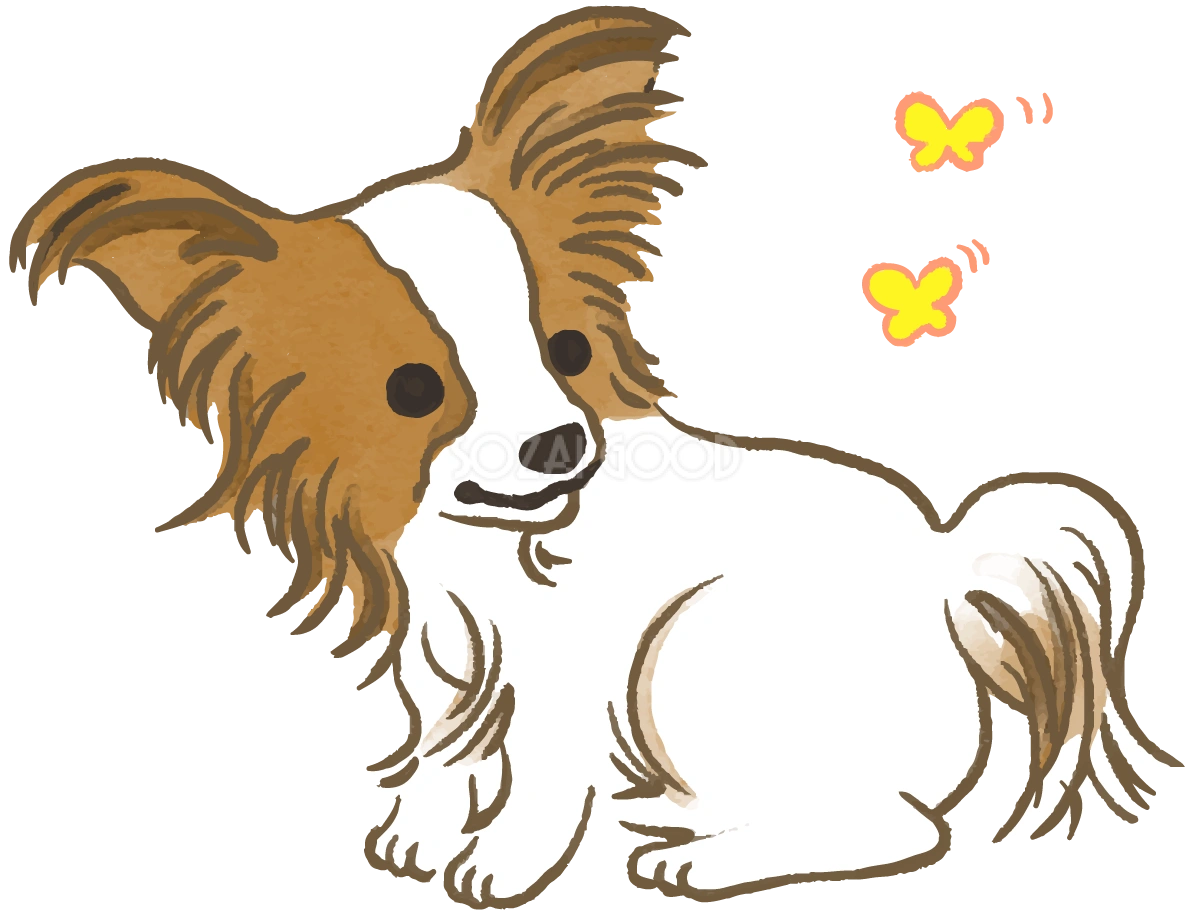 パピヨン(蝶々)かわいい犬の無料イラスト70321