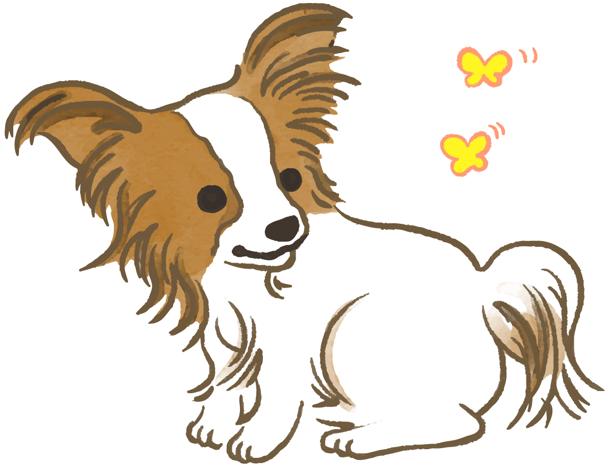 パピヨン(蝶々)かわいい犬の無料イラスト70321に写真・文字を入れる